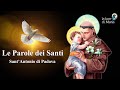 Le Parole dei Santi per oggi, 2 Gennaio 2023 - Sant'Antonio di Padova