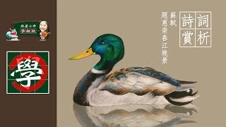 「跟著小乖學做玩」 │詩詞賞析│蘇軾〈題惠崇春江晚景〉│春江水暖鴨先知│