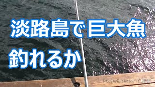 【体験】淡路島観光ホテルで釣りしたらなんと❗️24時間釣りできる日本一のフィッシングホテルはココ❗️