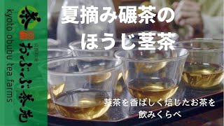 【茶農家直伝】ほうじ茎茶の淹れ方\u0026飲み比べ