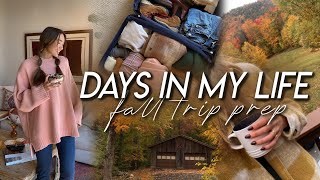 DAYS IN MY LIFE | cozy fall haul, packing for Vermont, baking homemade dog treats, & finding peace!