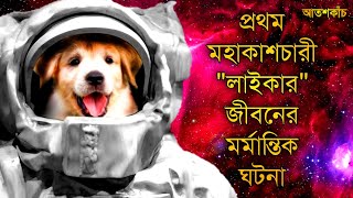 প্রথম মহাকাশচারী লাইকার সাথে কি হয়েছিল | The Sad Story of Laika | কাঁদতে বাধ্য হবেন আপনিও |