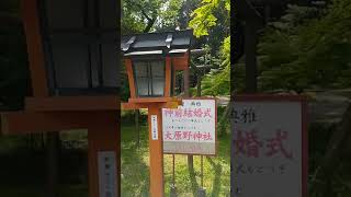 大原野神社に母の日のプレゼントできました(人´∀｀)．☆．。．:*･ﾟ😺💓