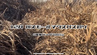 【バス釣り】12月川スモールマウスマス釣り『爆風バックラ釣行』【スモールマウスバス】