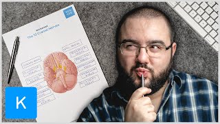 2 Easy ways to learn the cranial nerves - labeling exercises and quizzes | Kenhub