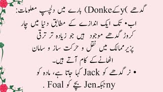 گدھے (Donkey)کے بارے میں دلچسپ معلومات|| informative || achi batain || bina voice