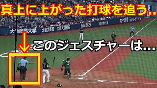 【審判ウォッチ（ミニ）】ドームの天井に消えた H近藤選手の打球、もし B若月選手がフライを落としてたらアウト？だったかもしれない守備妨害の場面【2023.8.16 オリックス vs 福岡ソフトバンク】