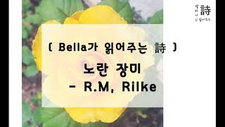 [ Bella가 읽어주는 詩 ] (6월의 시) 노란장미 - 릴케