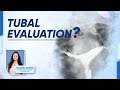 Tubal evaluation - Dr. Ankita Kaushal Kadam, Fertility and IVF Specialist.