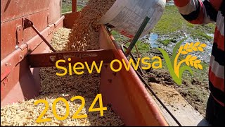 🌾Siew owsa 2024💪 \u0026 Lekka wtopa😅