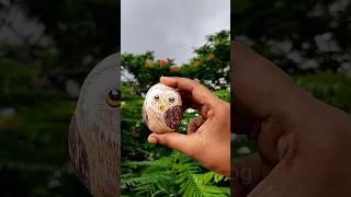 নুড়ি দিয়ে ছোট্ট পেঁচা 🦉#art #drawing #painting #craft #shorts #viral #minivlog