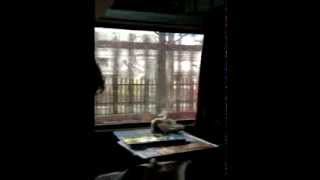 Window Seat in Rajdhani Express - A Film by Imtiaz Ali