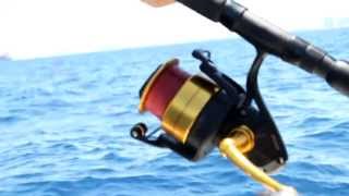 Live Bait Fishing For 30lb. Blackfin Tuna