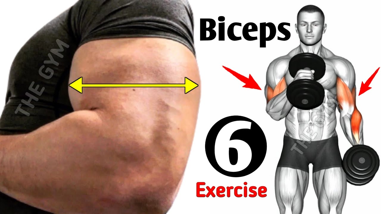 6 Fastest Big Biceps Exercises The Gym Youtube