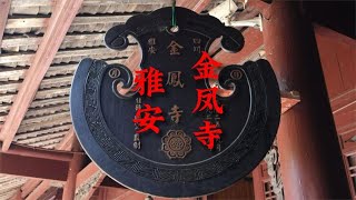 四川雅安市，游览600年历史的金凤寺，和老梁一起边走边聊！【老梁寻游】