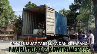 PROSES MUAT 2 KONTAINER POHON PENGHIJAUAN KE MANADO | AGRO SEJAHTERA