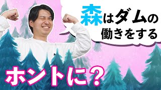 「水資源を守るために植樹」は正しいのか？森と水の知られざる関係。【森林2】＃36