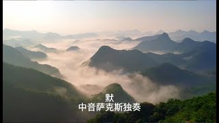 《默》那英的老歌怀旧金曲中音萨克斯独奏Saxophone Cover让音乐治愈受伤的心灵