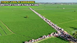 Wisata viral view pesawahan ‼️ Wisata alam \u0026 kuliner Tegalan Plawad - Karawang