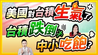 郭哲榮分析師【美國對台積生氣了! 台積跌倒、中小吃飽?】2025.02.14