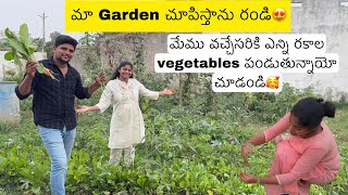 మా garden లో ఎన్ని రకాల vegetables పండుతున్నాయో చూడండి😍village లోనే settle అయిపోవాలి అనిపిస్తుంది🥹