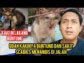 MENOLONG KUCING KAKI BUNTUNG YANG SAKIT SCABIES SUDAH PARAH BAGET ‼️