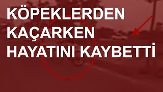 Sokak köpeklerinin saldırdığı çocuk arabanın altında kalarak can verdi | #NTV #HABER