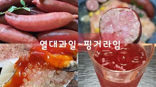 열대과일~핑거라임(Finger lime)먹어볼겨?/함평애플망고농장