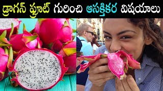 డ్రాగన్ ఫ్రూట్ గురించి ఆసక్తికర విషయాలు | Dragon fruit health benefits | Telugu Health Tips