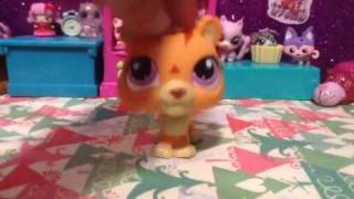 LPS: All My Lps! 🐾 (109 Lps) OLD