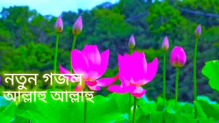 ভোরের হাওয়া ছুটে চলে গজল || vorer hawa chute chole gazal || অন্ধ শিল্পী মুছাউর গজল | 2023 gojol