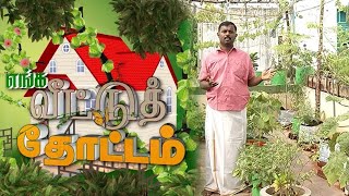 ரசாயன உரங்கள் பயன்படுத்தப்படாத இயற்கை மாடி தோட்ட செடிகள் | Malarum Bhoomi