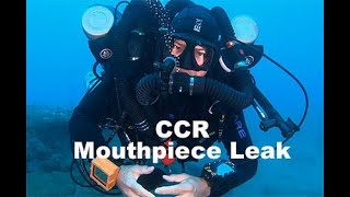 CCR Mouthpiece leak