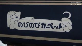 急行「はまなす」　さよなら！日本最後の夜行急行列車202レ　ED79連結作業有り　　函館駅　HDV 385