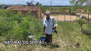 VEJA A SIMPLICIDADE DE SEU MANOELZINHO  MOSTRANDO O SEU TRABALHO NA ROÇA.