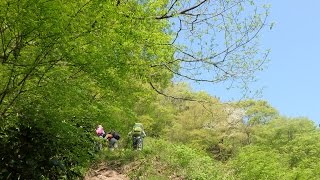 2015年４月27日　花の横山岳