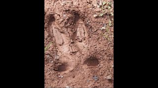 MOOSE: Culture and Science Virtual Program