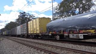 6009 / LDP004 / LDP001 with Aurizon 5BM7 - 16/9/16