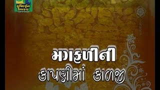 ddkrajkot krushidarshan Magafalini 18092015