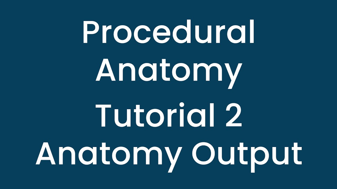 Procedural Anatomy Tutorial 02 Anatomy Output Youtube