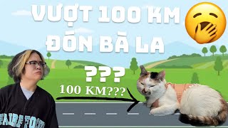 VLOG#9: VƯỢT HƠN 100KM ĐÓN BÀ LA