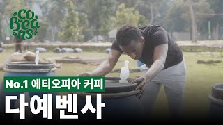 젊은 농부가 말하는 에티오피아 커피에 관한 모든것ㅣ에티오피아 다예벤사 커피