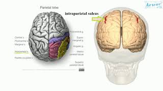 dyscalculia