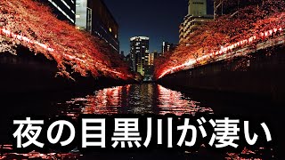 目黒川の夜桜を船で花見したら凄かった