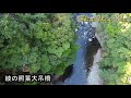 シンちゃんマン ドローン空撮　宮崎県綾町散策