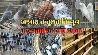 রতনকান্দি হাট থেকে কবুতরের দাম জানুন । #EtcTV_LIVE Pigeon price,,Rotonkandi Hat,, Kobutor