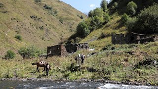 მარტოკაცებმა არჭილო გააცოცხლეს - მთავრობის ყურადღება ნულია