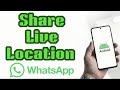 How to Share Live Location on WhatsApp Android