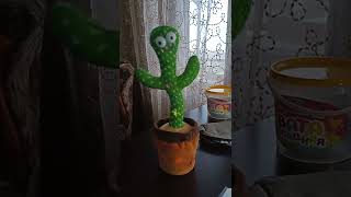 говорящий кактус 🌵🌵