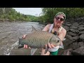 we found big slab panfish stacked up at the giant spillway crappie bluegill and more catch u0026 cook